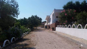 Dalani rooms